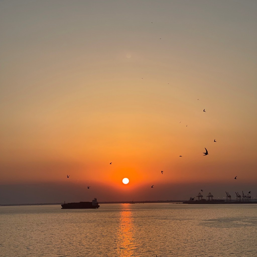 Birds flying high, you know how I&nbsp;feel..